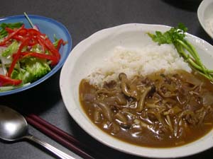 カレーのにせもの？