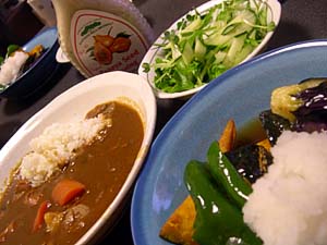 追いカレー